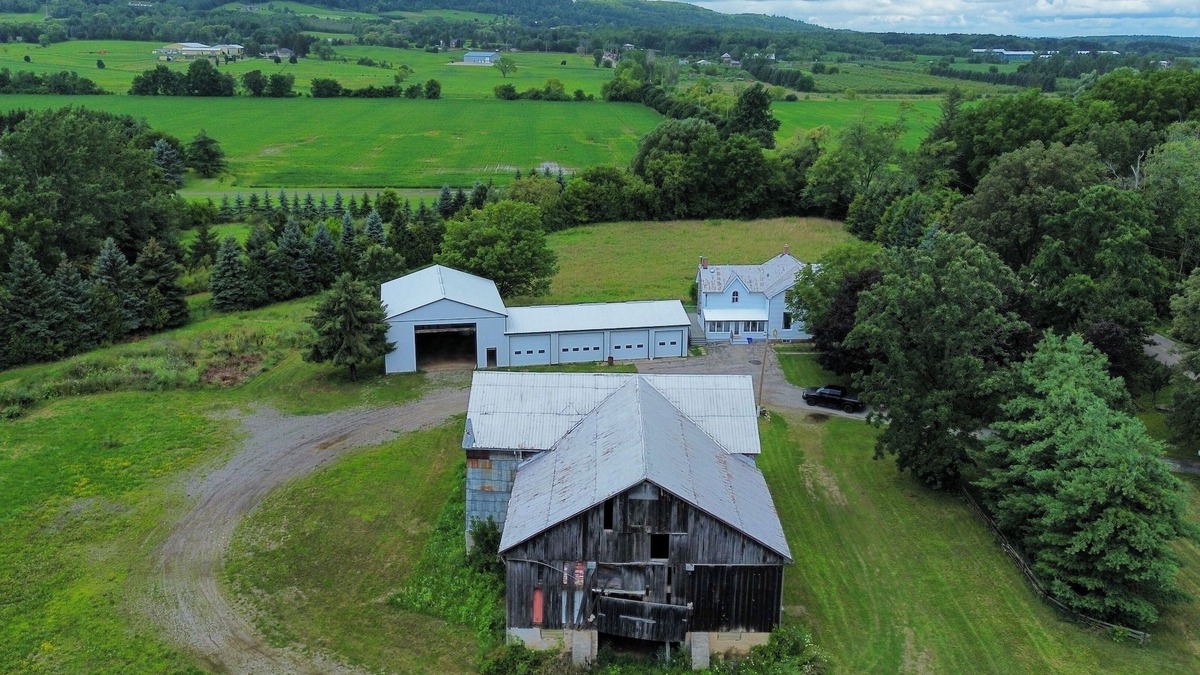 Halton Regional Municipality Other | Looking for a getaway in the woods close to the city?(pet friendly, party?)