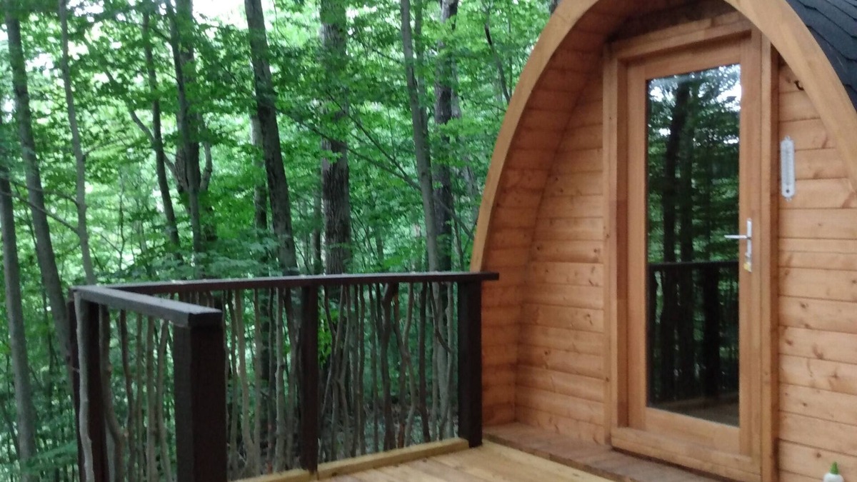 Dryden Cabin | Lookout Camping Pod