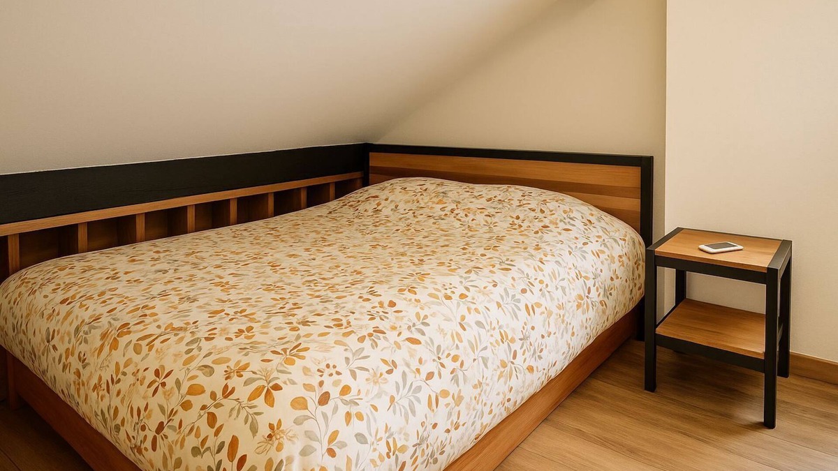 Loos Apartment | Loos duplex with darts & sofa bed near Lille
