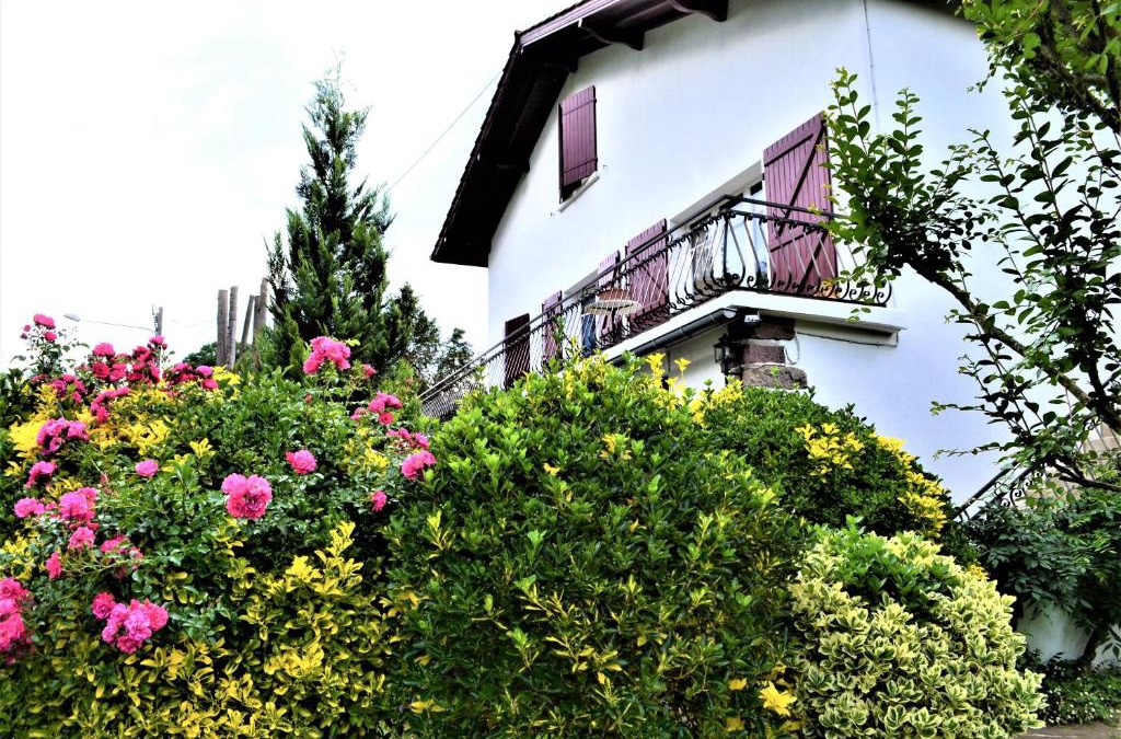 Ispoure Apartment | Loretxea