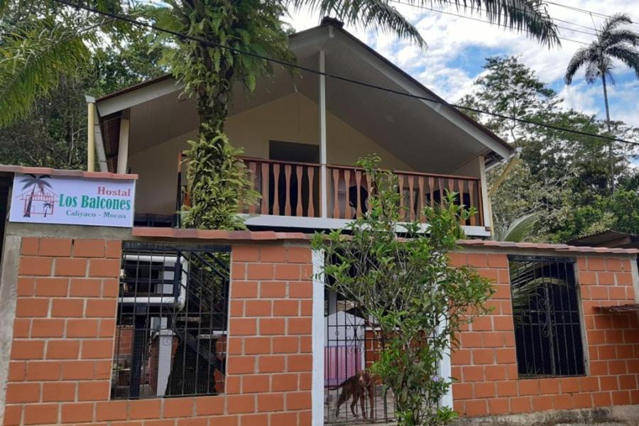 Mocoa House | Los Balcones Hostal - Caliyaco