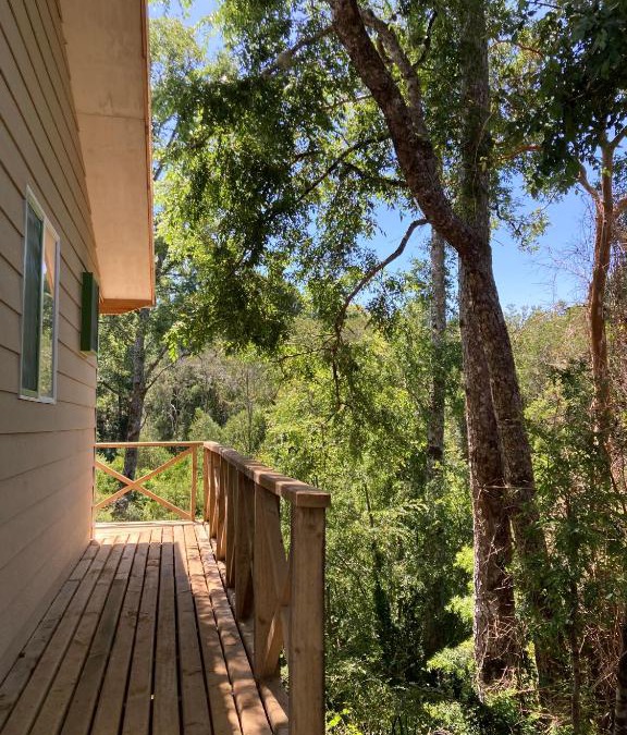 Valdivia House | Los Canelos de Cayumapu