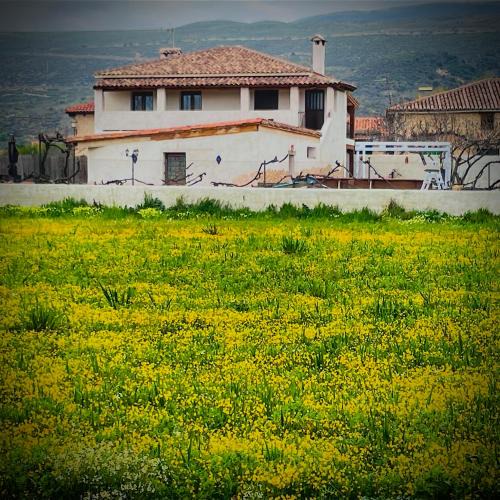 Torremocha de Jarama Apartment | Los Diezmos