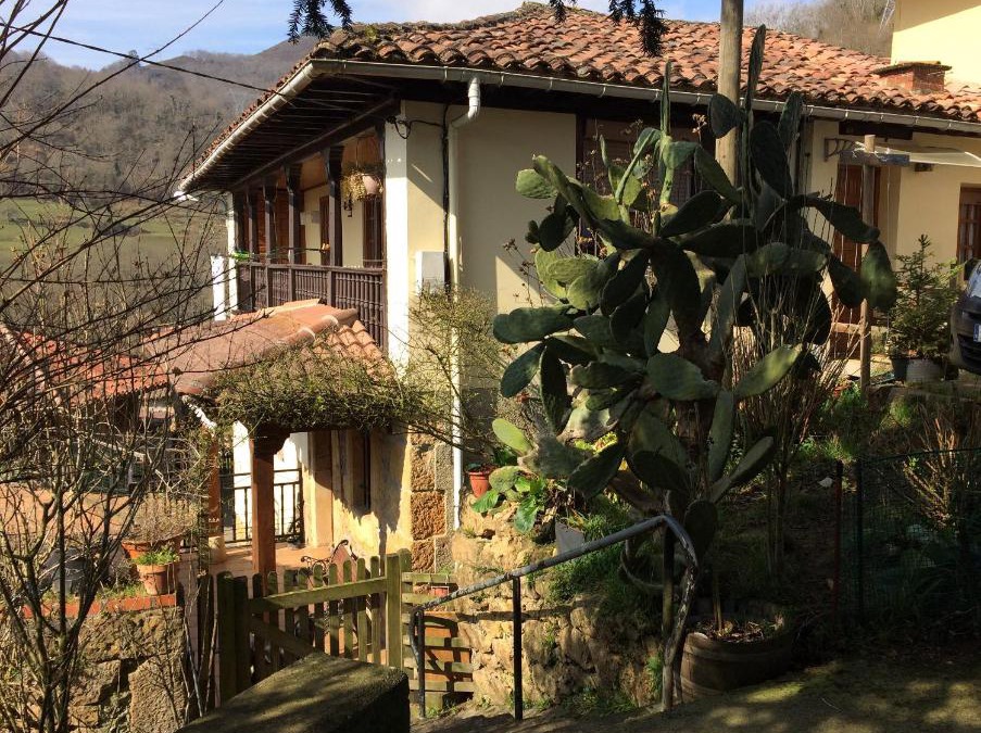 Soto de Cangas House | Los Pinos de Cardes