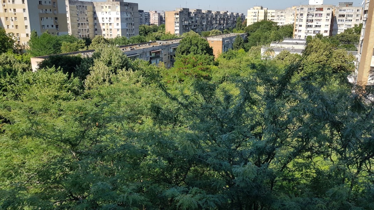 Drumul Taberei Apartment | Lots of greenery, quiet and fresh air.