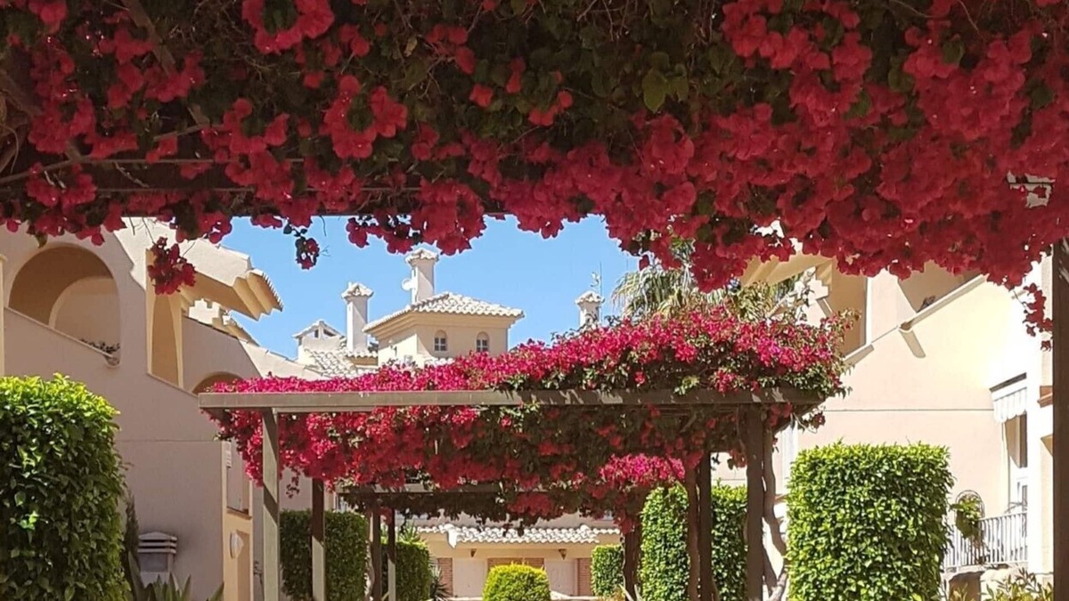 Los Alcazares Apartment | LOU'S PLACE -Albatros - 10 min walk to beach 2 bed G/floor - air con/heat-Wifi