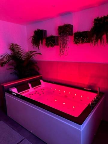 Epinal Apartment | Love Room Cocooning & Spa