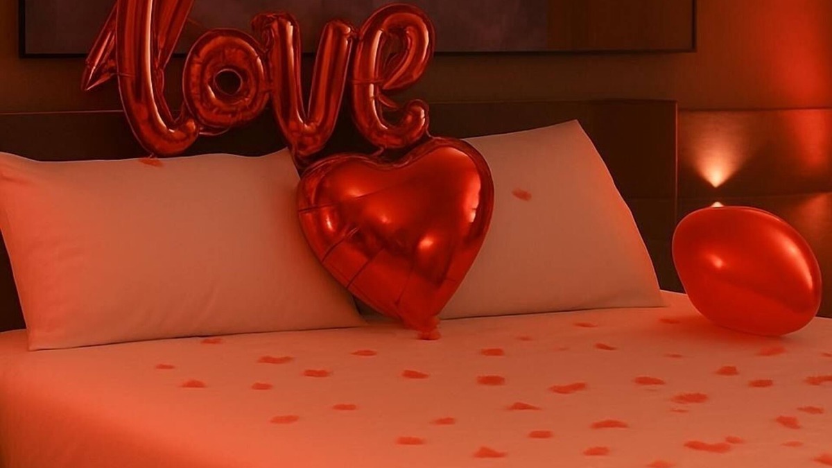 Ollioules Apartment | Love Room - Our limits
