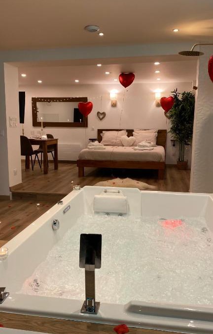 Charleville-Mezieres Apartment | Love room Unique - Sauna/Jacuzzi