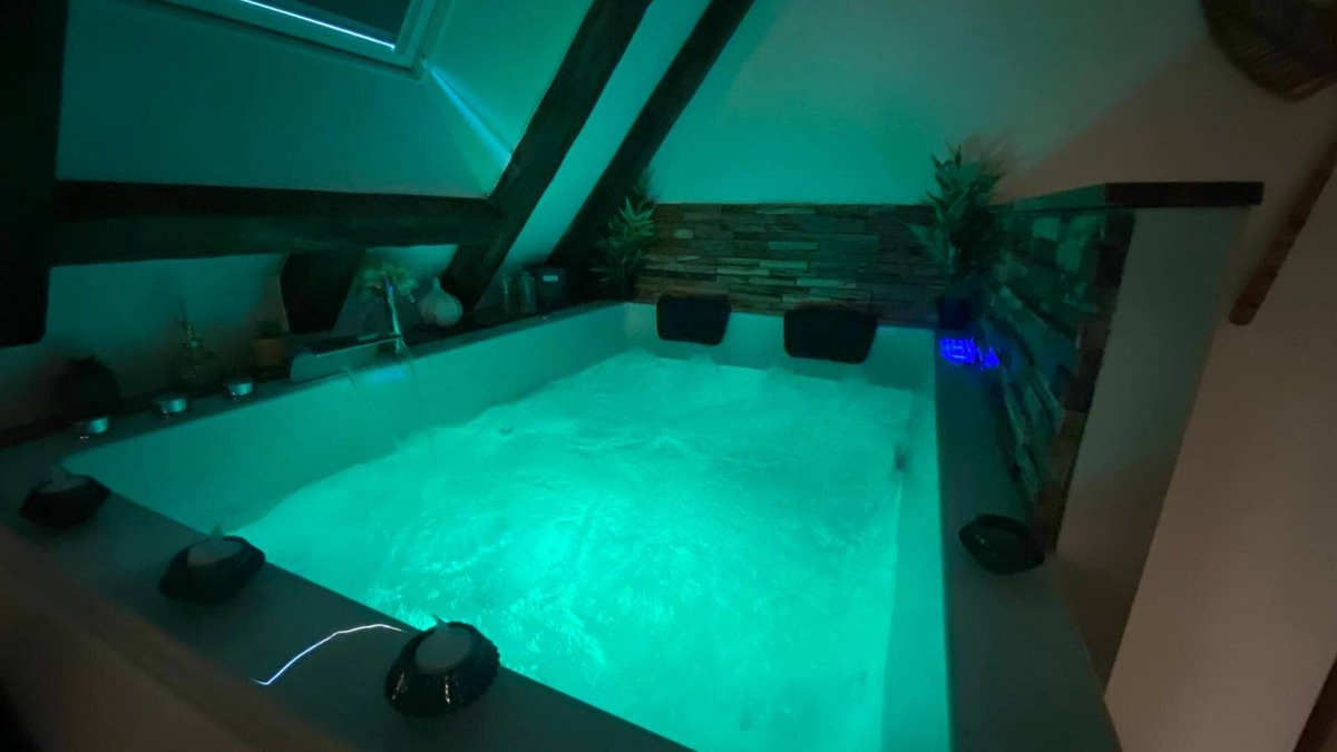 Bourges Apartment | Love Room with Jacuzzi in the city center