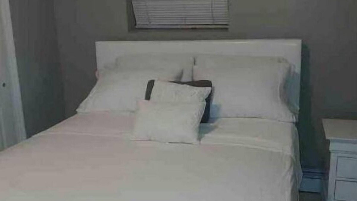 Queens Apartment | LOVELLY ONE BEDROOM APARMENT IN WHITESTONE