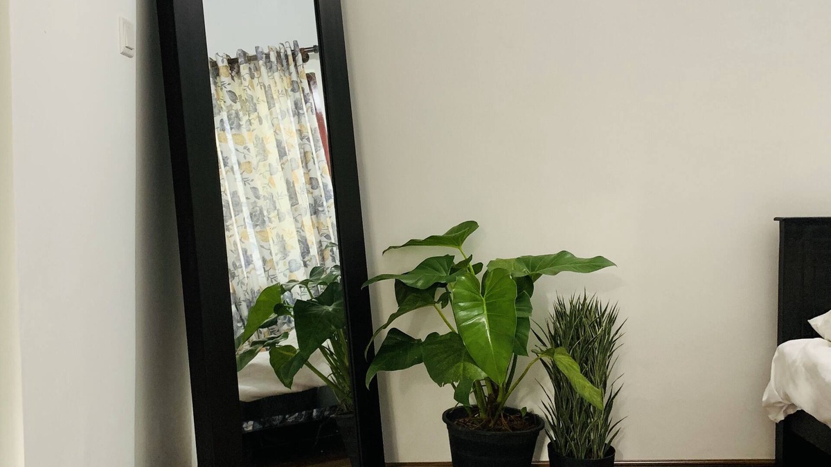 Colombo 05 House | Lovely 1-Bedroom House with Free-Parking Facility