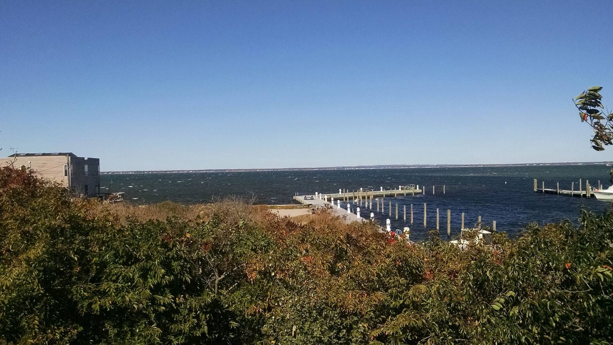 Davis Park House | Lovely 2 BR Cottage W/Bay Views!