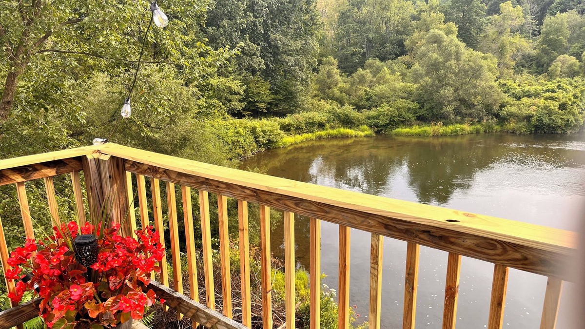 Shinglehouse Apartment | Lovely 2BDRM with Water and Mountain Views