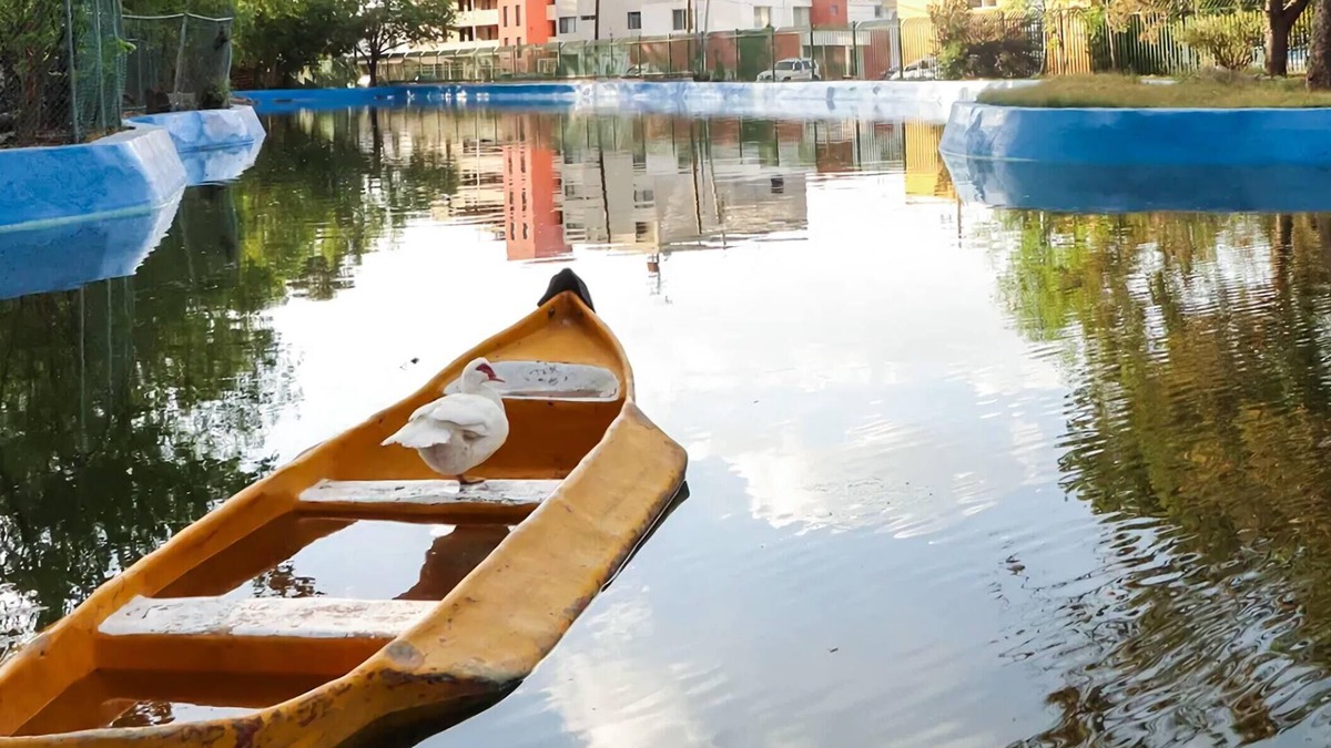 San Luis Potosi Apartment | Lovely and spacious apartment next to the Park