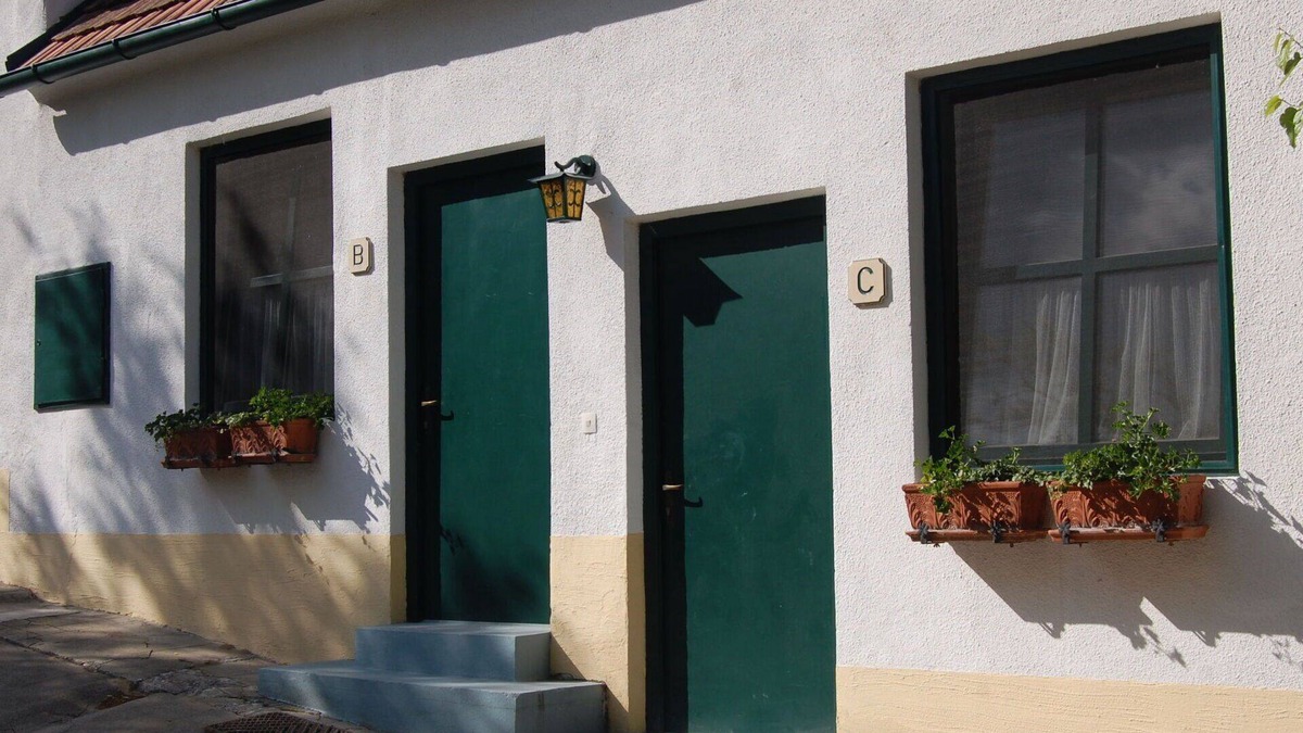 Morbisch am See Apartment | Lovely apartment for 3 people with WIFI, TV, terrace and parking