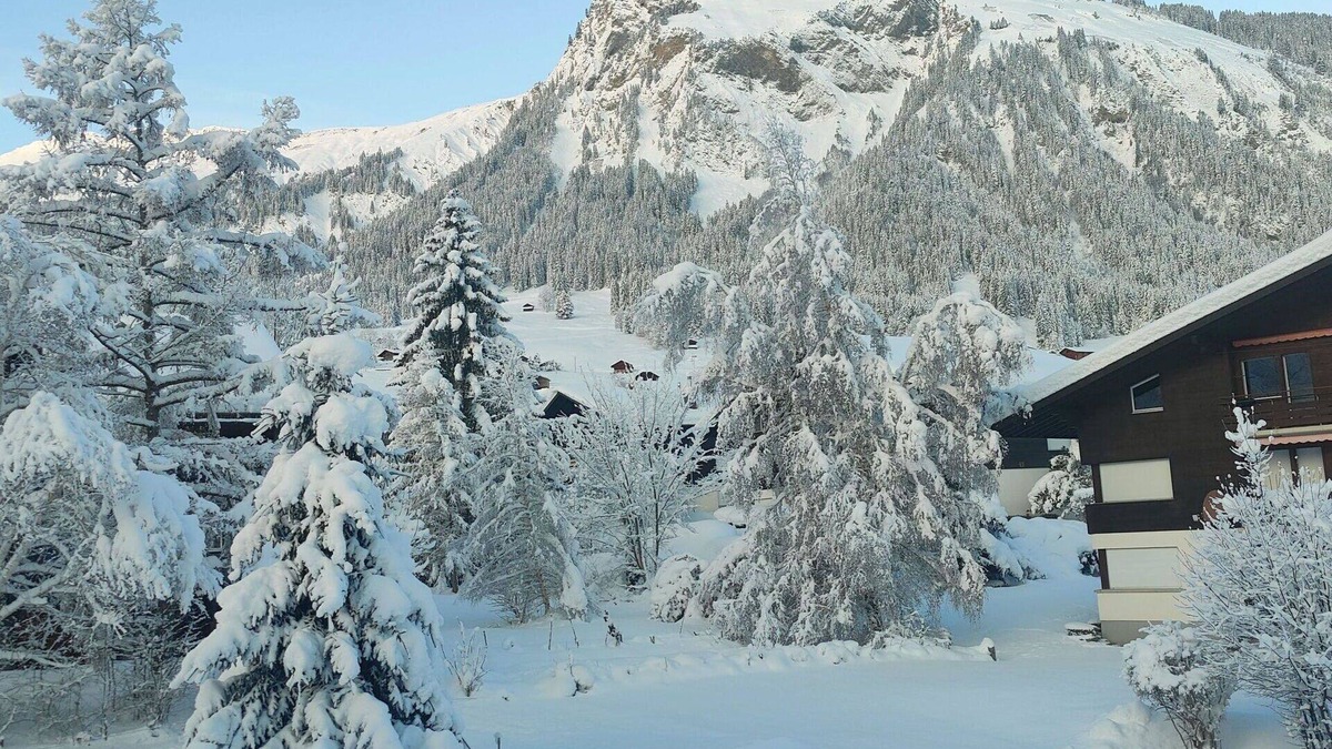 Lenk Apartment | Lovely apartment for 5 guests with WIFI and balcony