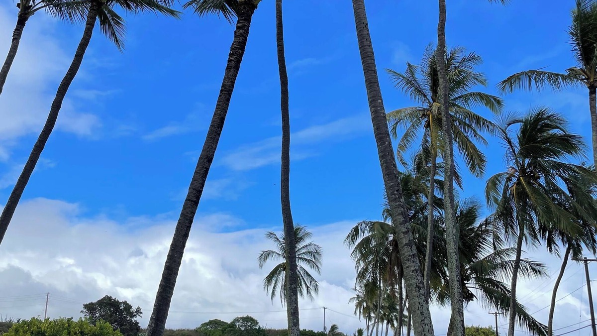 Poipu Condo | Lovely beach view condo in Poipu!