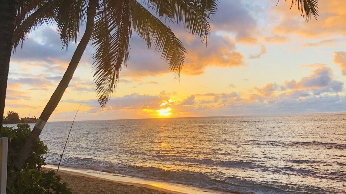 Waialua House | Lovely Beachfront cottage! Private Northshore Get Away!