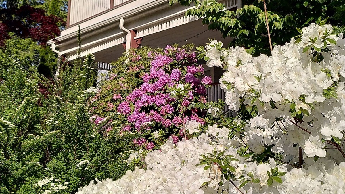 Arlington Apartment | Lovely, bright 2-BR in historic Arlington