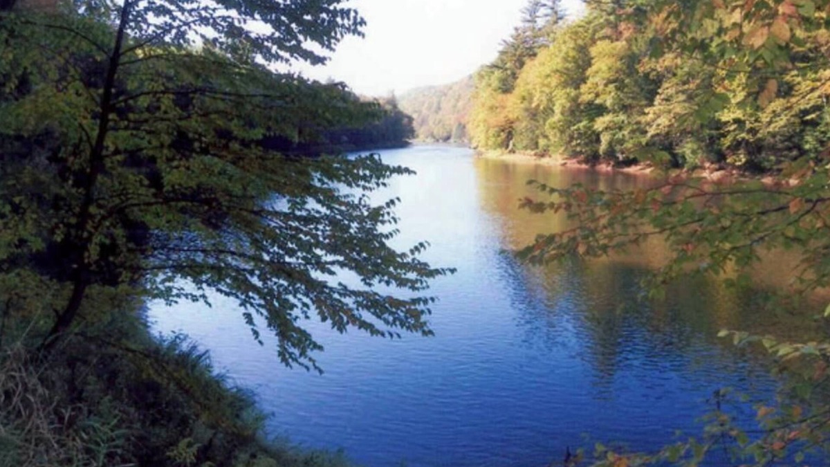 Clarington Cabin | Lovely cabin with perfect view of Clarion river in charming Cooksburg