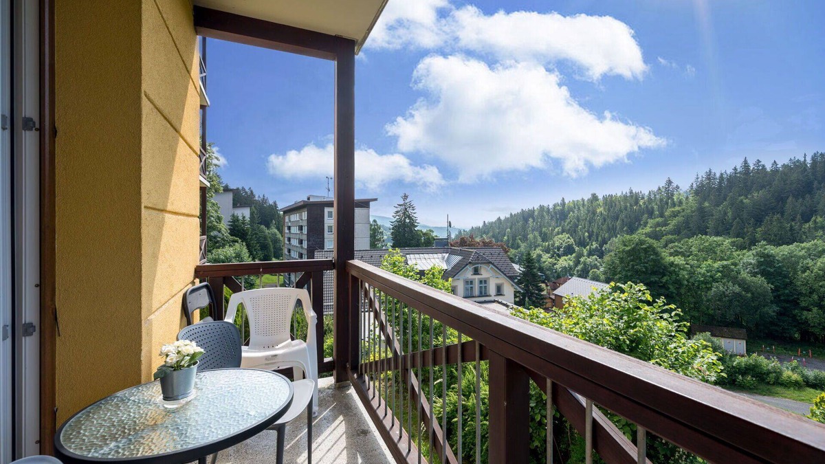 Janske Lazne Apartment | Lovely apartment for 4 guests with WIFI, TV, balcony and pets allowed