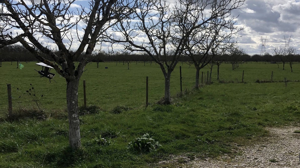 Bourg-sur-Gironde Cottage | Lovely farm cottage