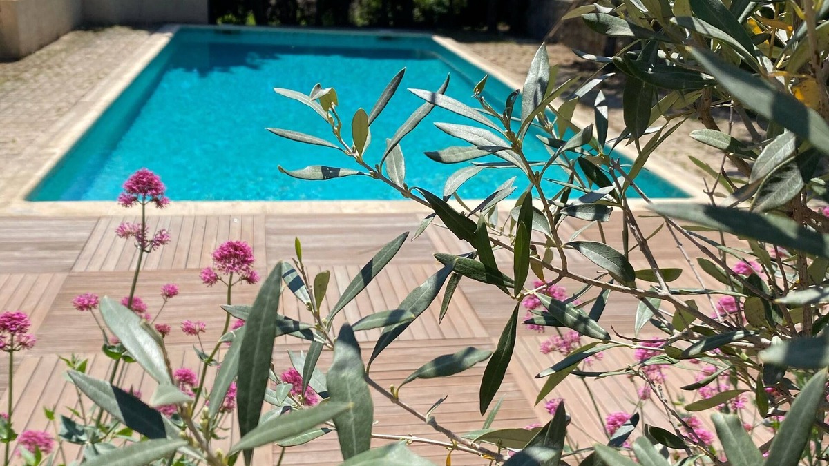 Les Adrets-de-l'Esterel Apartment | Lovely 2-room apartment in the heart of Esterel with swimming pool