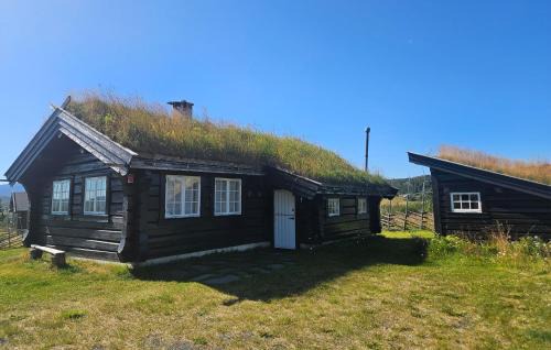 Vestre Slidre House | Lovely Home In Røn With House A Mountain View