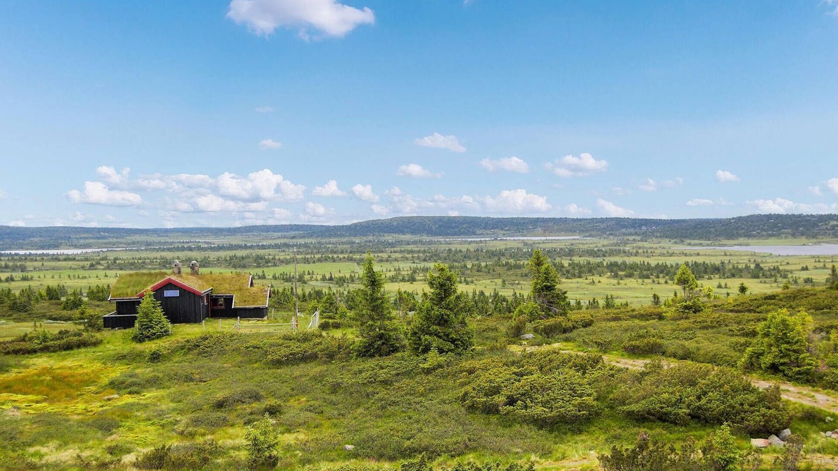 Oyer House | Lovely home in Sjusjøen with kitchen