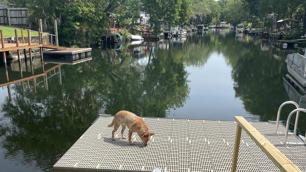Spring Hill Boat Rental | Lovely Home on Freshwater Canal - 5 Minutes to Main River by Kayak Dogs accepted