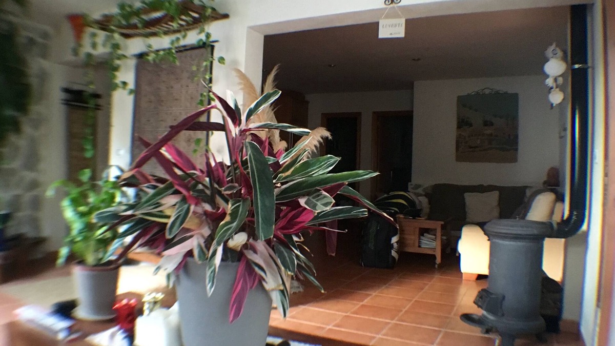 Tarifa House | Lovely house by the beach with large living room, 2 bedrooms and beautiful garden