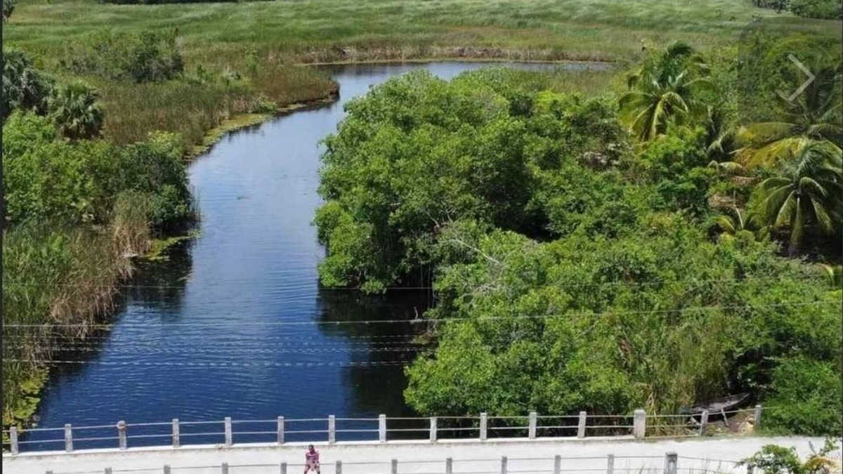 Lacovia Bed & Breakfast | Lovely River view two bedrooms on The banks of Black River. Breakfast Included!