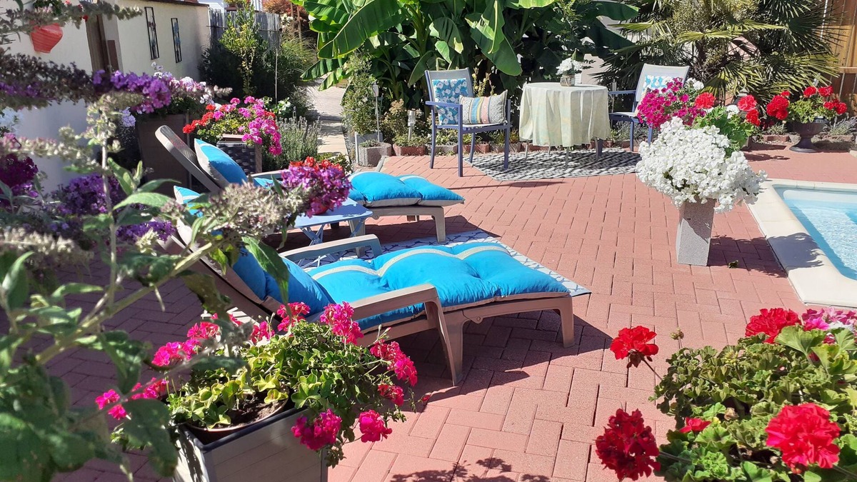 Bindernheim House | LOVELY SINGLE-STOREY GITE WITH SWIMMING POOL 15 KM FROM EUROPA PARK