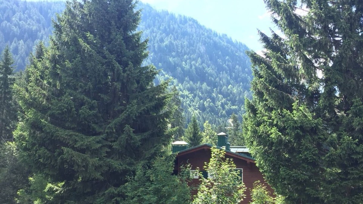 Madonna di Campiglio House | Lovely snowflake in the Dolomites Madonna di Campiglio