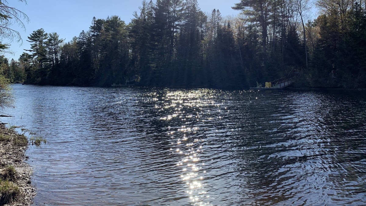 Huntsville Cottage | Lovely WATERFRONT cottage on Muskoka River