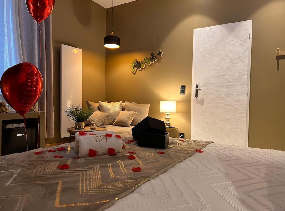 Jujurieux Apartment | Loving room cocooning avec jacuzzi « la terre »