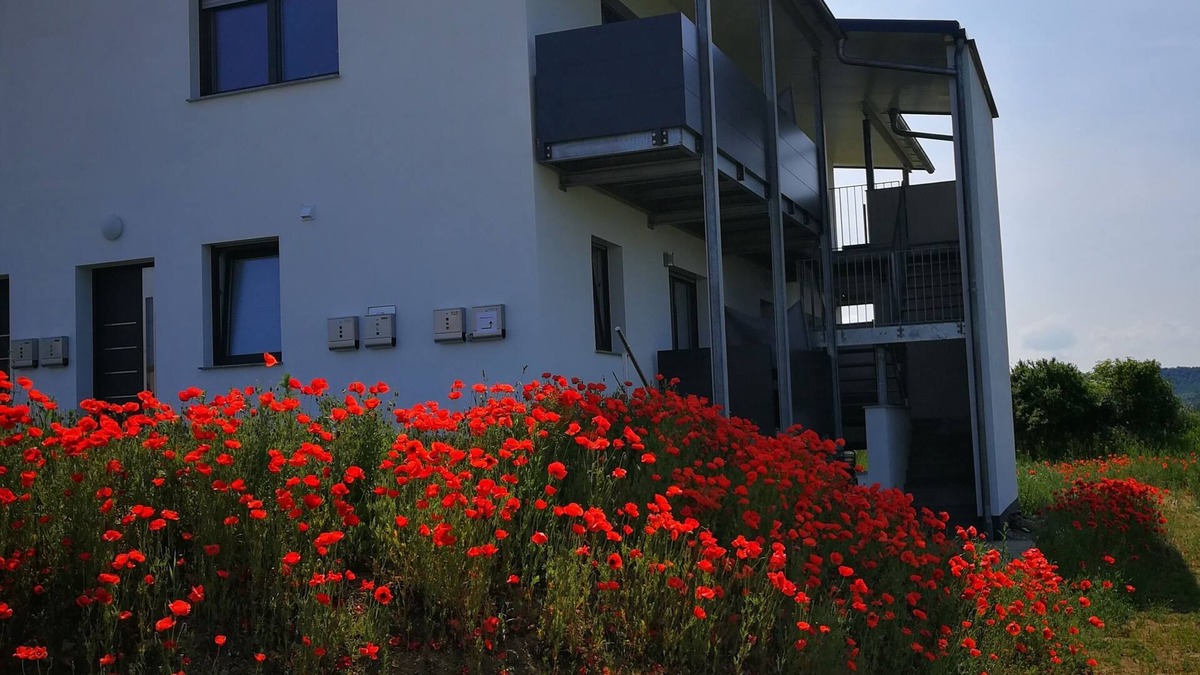 Dingolshausen Apartment | Lovingly furnished, new building