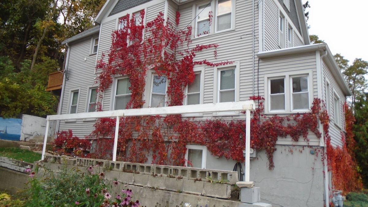 Port Washington House | Lower flat steps from the lake and downtown
