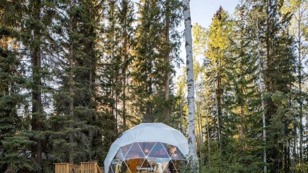 Blaeberry House | LSD- Luxe Serenity Dome @ The Blaeberry Base