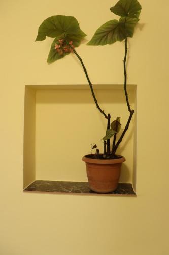 Garni House | Lucy guest house