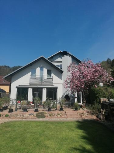 Decin Apartment | Lukíno - apartmány
