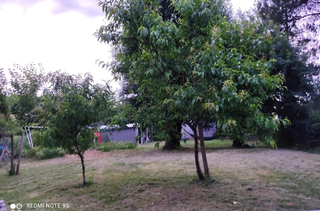 Castelmoron-sur-Lot House | Lulu