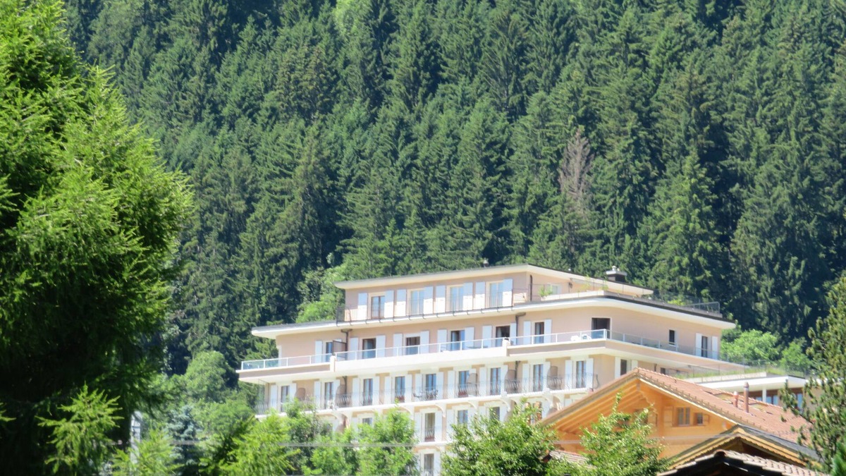 Chateau-d'Oex Apartment | Luminous, Airy Apartment Overlooking Gstaad Valley, Switzerland