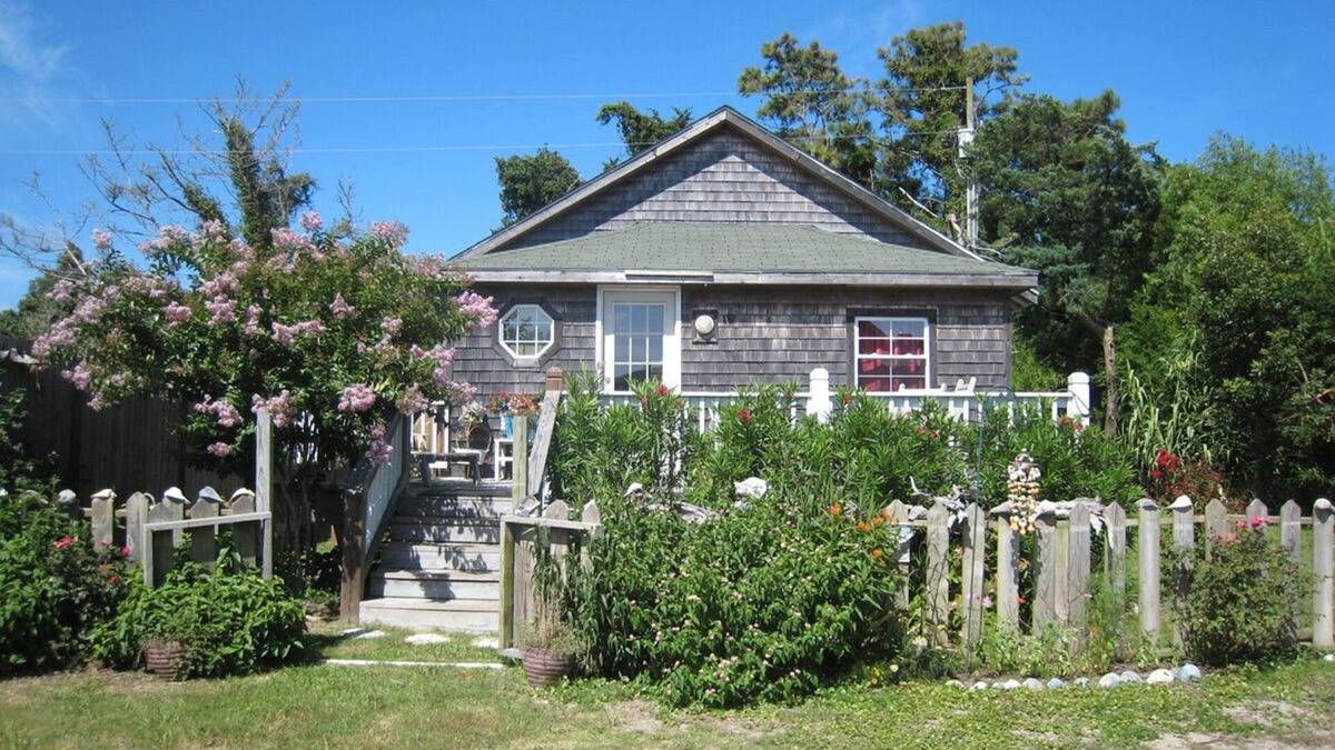 Ocracoke House | Luna Sea: Dog friendly cozy rental is centrally located.