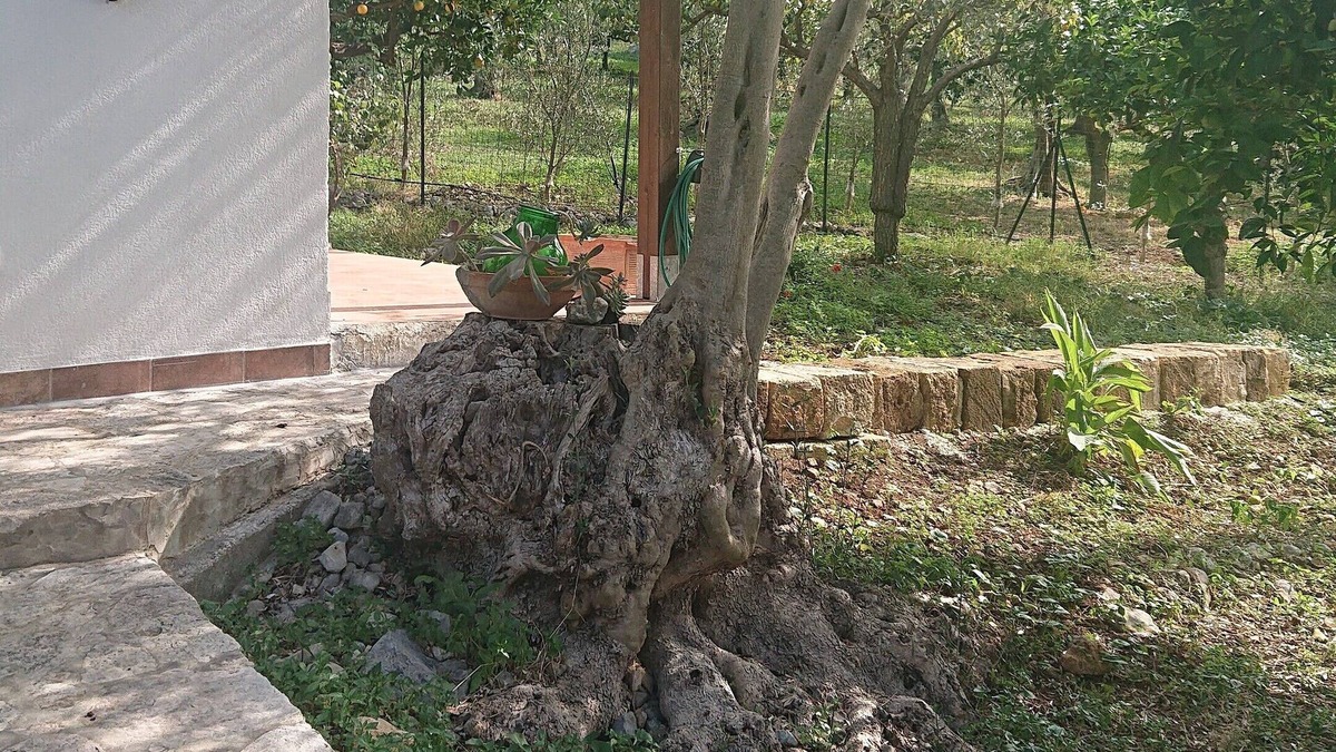 Capaci House | Luogogrande estate: agriculture, countryside, sea,
