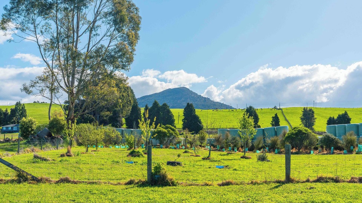 Pukawa House | Lush Escape - Lake Taupo Holiday Home