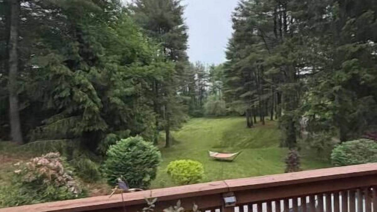Egremont House | Lux Berkshire Mountain Haven: New reno, private road/acreage, best locale & ski!