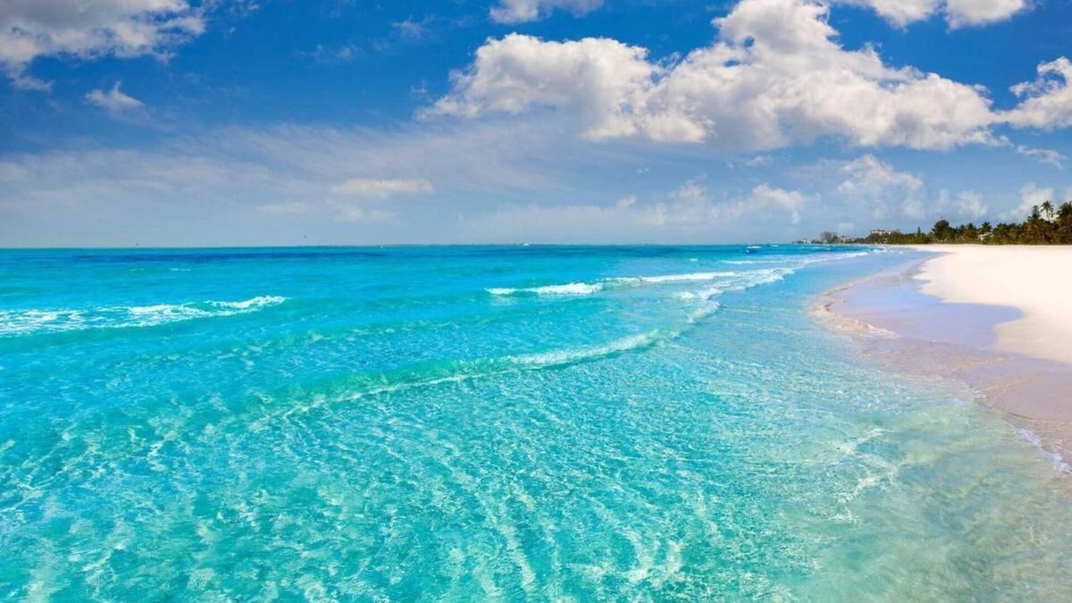 Florida Panhandle Apartment | Lux private bedROOM w private bath apartment in enchanting Pensacola w WiFi, AC