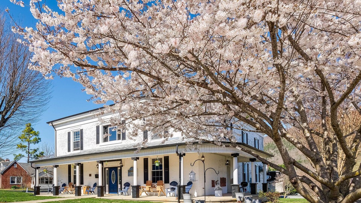 Buchanan House | Luxe Virginia Historical Estate w/Charcoal Grill!